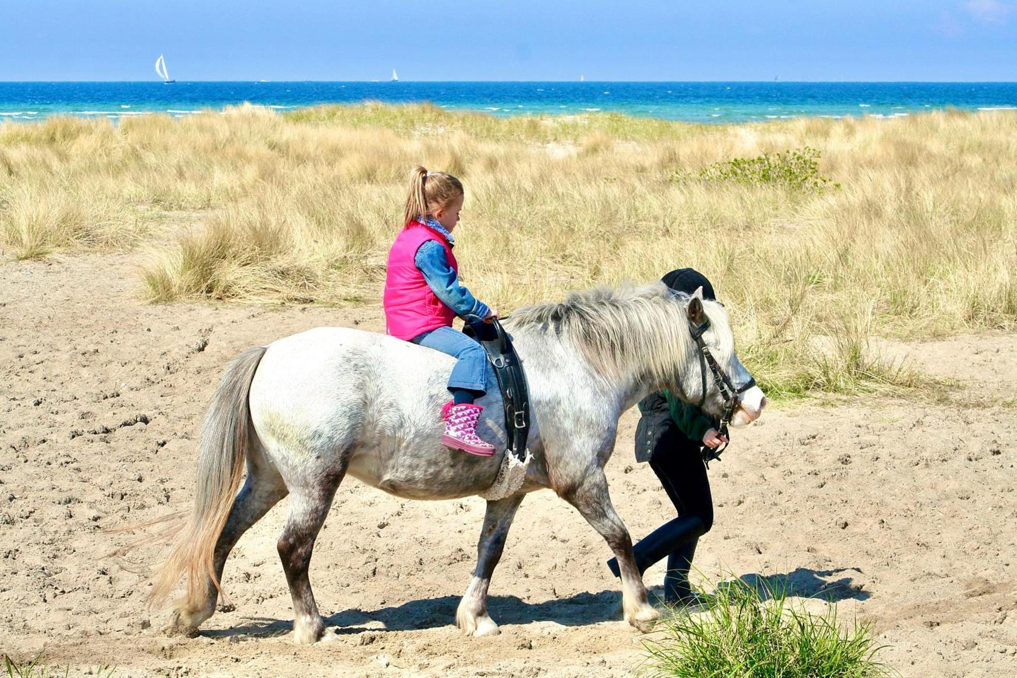 Ferienwohnung Strandliebe Lutterbek エクステリア 写真
